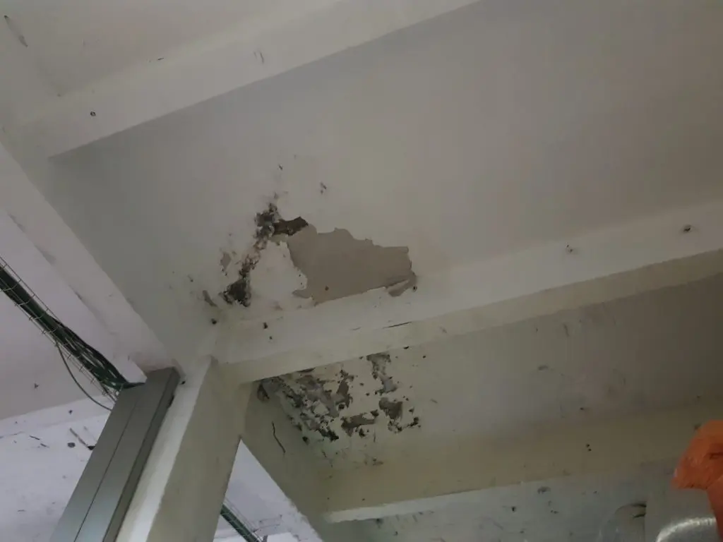 problema de humedades Bilbao